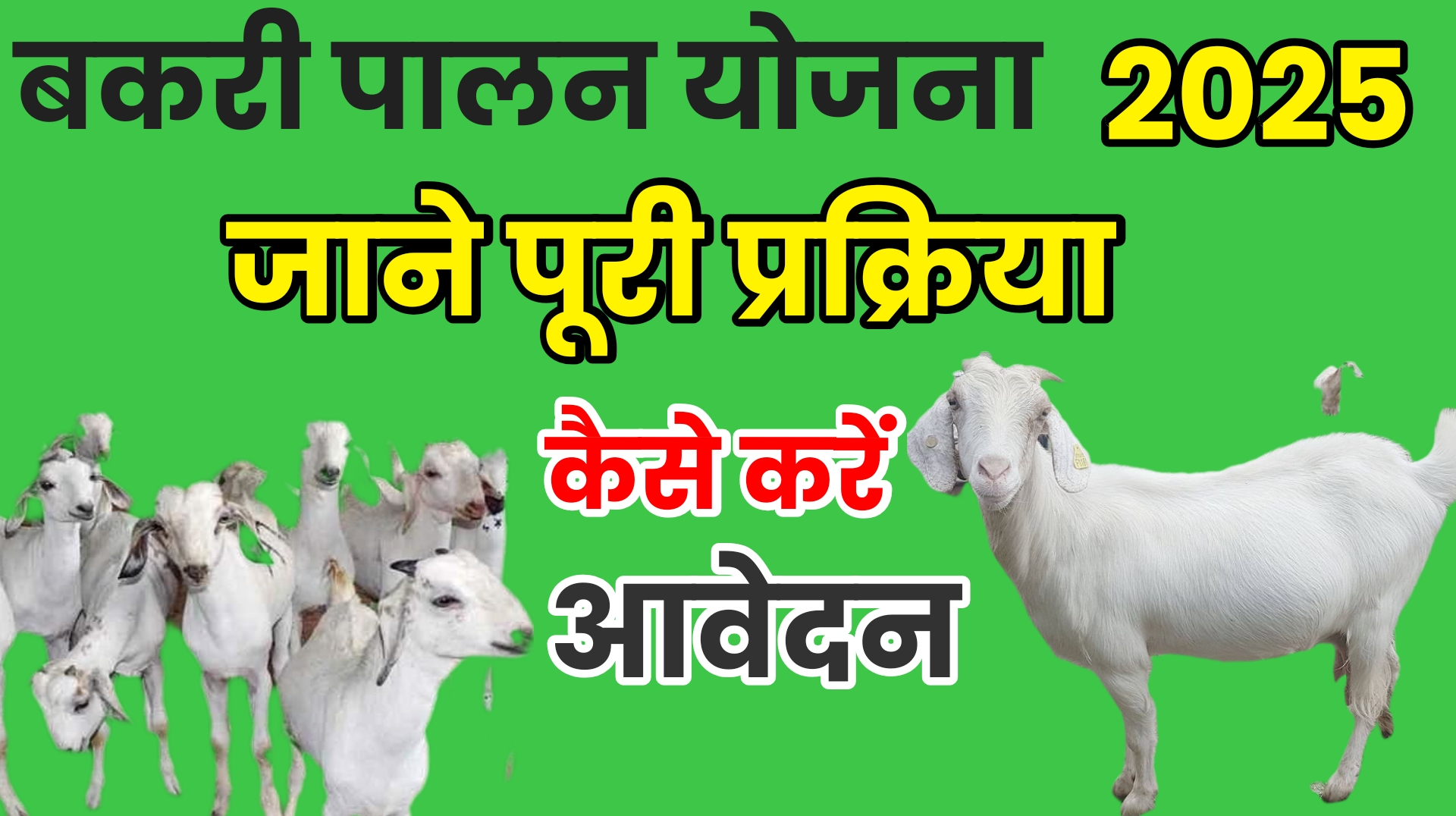 Bakari palan loan yojana